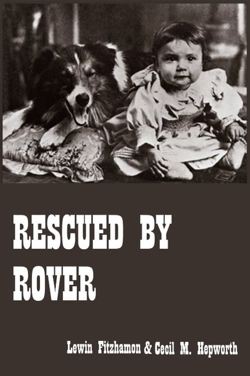 Poster for Rescued by Rover