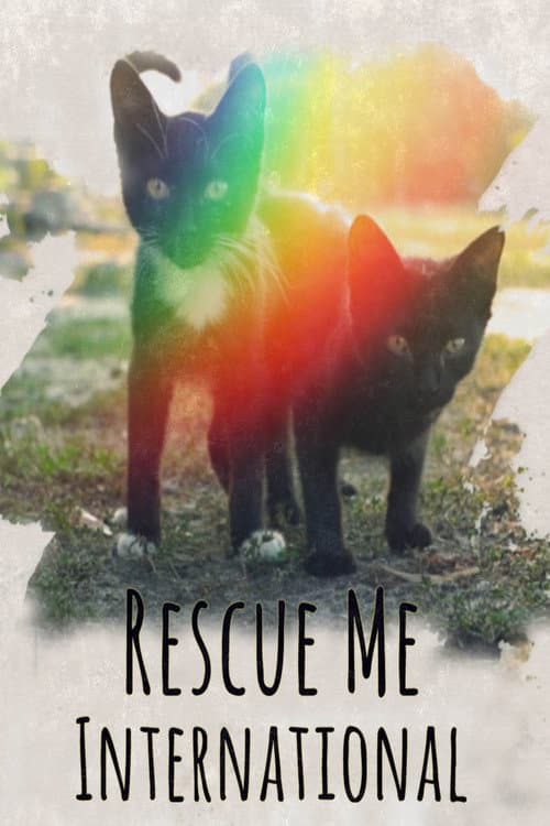 Poster for Rescue Me: International