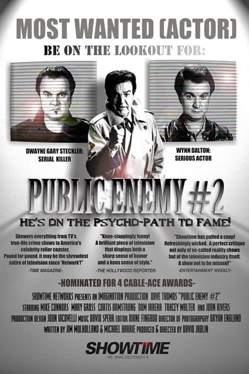 Poster for Public Enemy #2