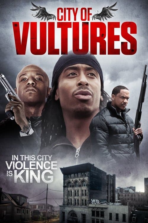 Poster for City of Vultures