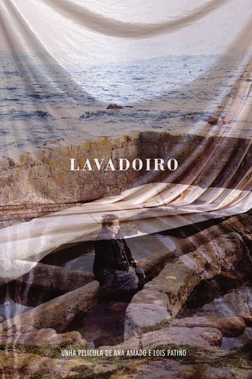 Poster for Lavadoiro