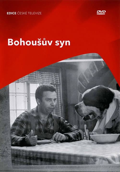 Poster for Bohoušův syn