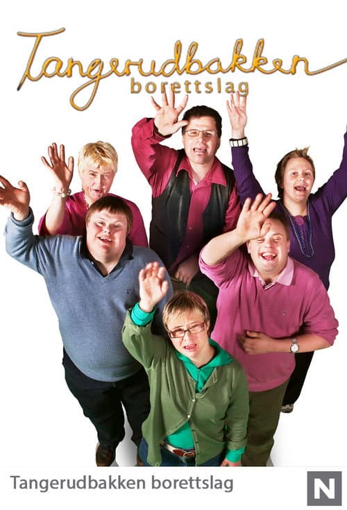 Poster for Tangerudbakken borettslag