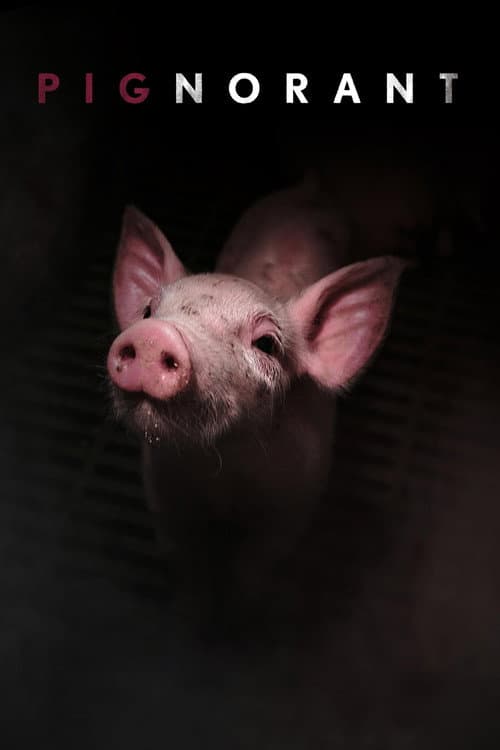 Poster for Pignorant