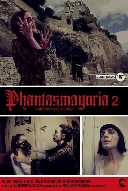 Poster for Phantasmagoria 2: Labyrinths of blood