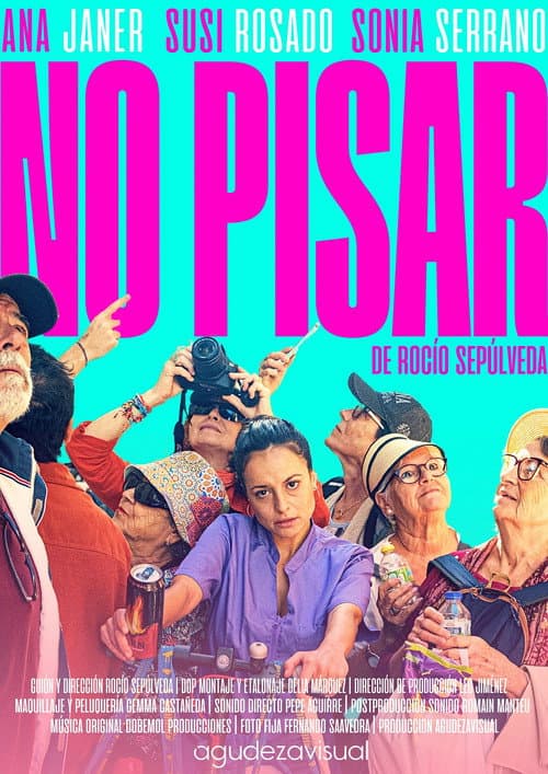 Poster for No pisar