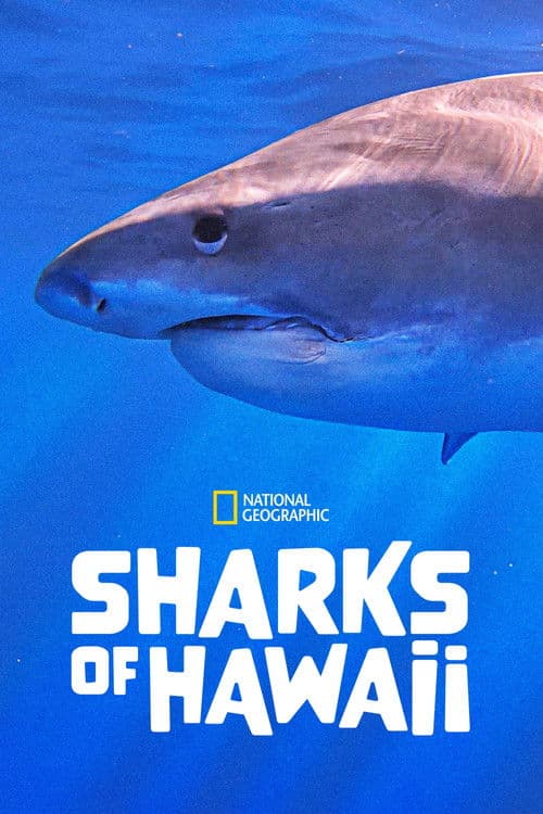 Poster for Sharks of Hawaii