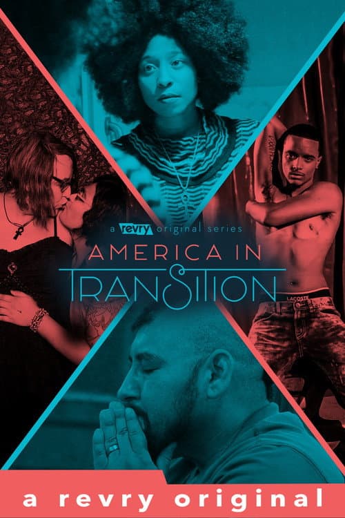 Poster for America in Transition: A Family Matter