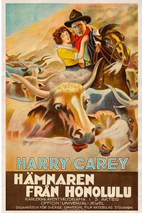 Poster for The Outlaw and the Lady