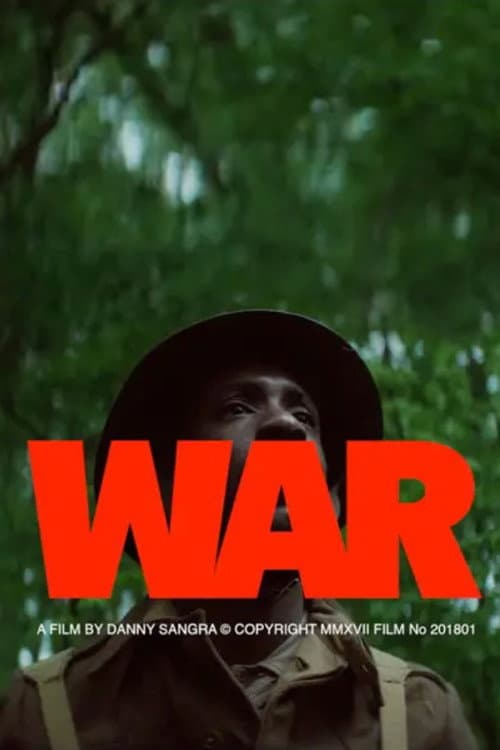 Poster for War