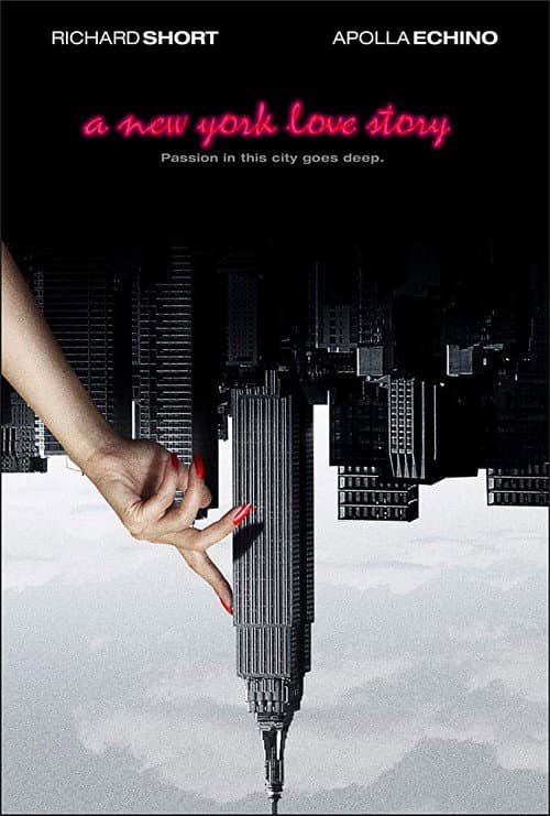 Poster for A New York Love Story