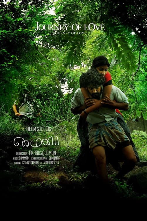 Poster for Mynaa