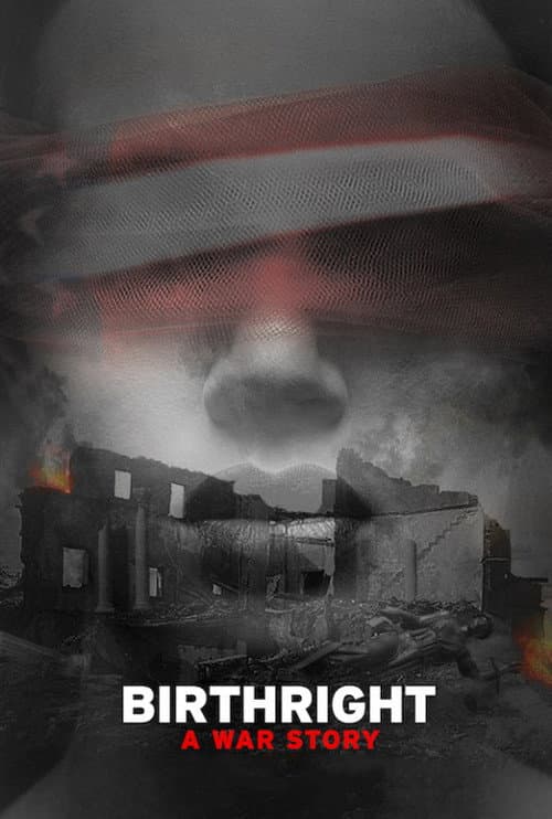 Poster for Birthright: A War Story