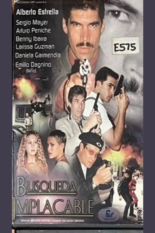 Poster for Búsqueda implacable