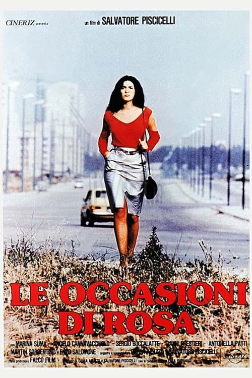 Poster for The Opportunities of Rosa