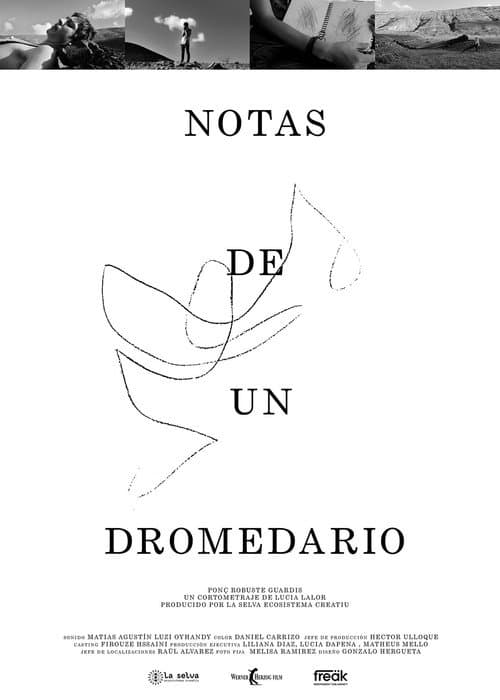 Poster for Notes from a Dromedary