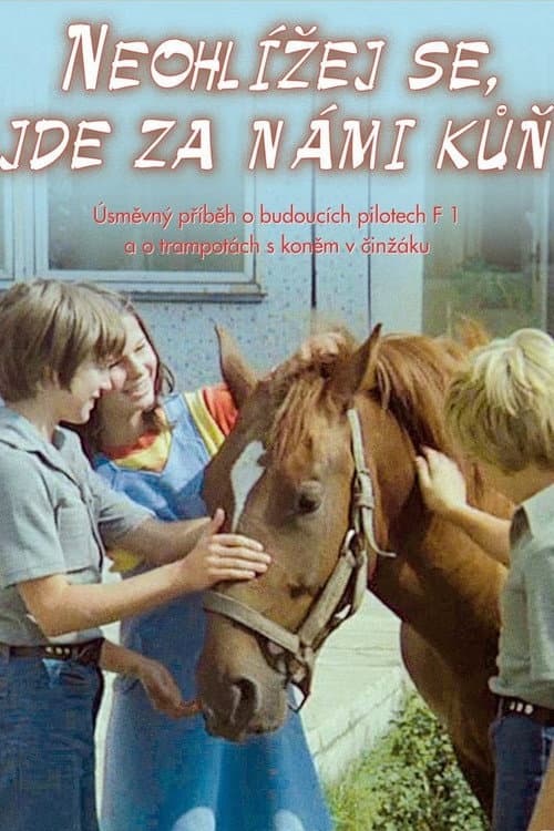 Poster for Don't Look Back, There Is a Horse Behind Us