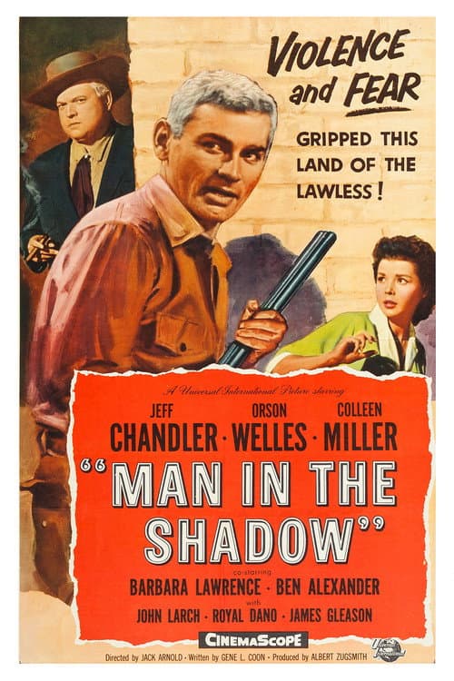 Poster for Man in the Shadow