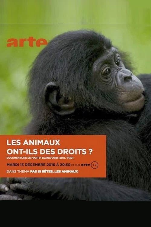 Poster for Les animaux ont ils des droits?