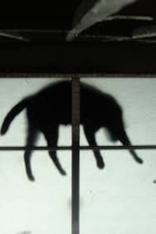 Poster for Scissors and the Cat