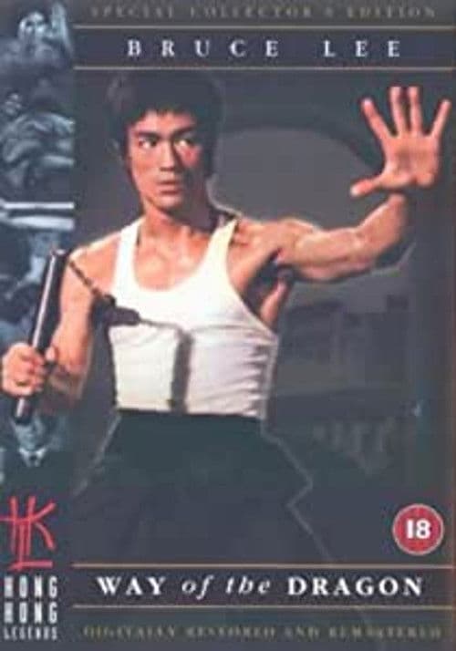 Poster for Reflections on 'the Little Dragon'