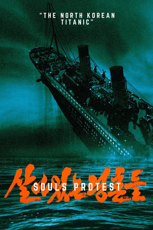 Poster for Souls Protest
