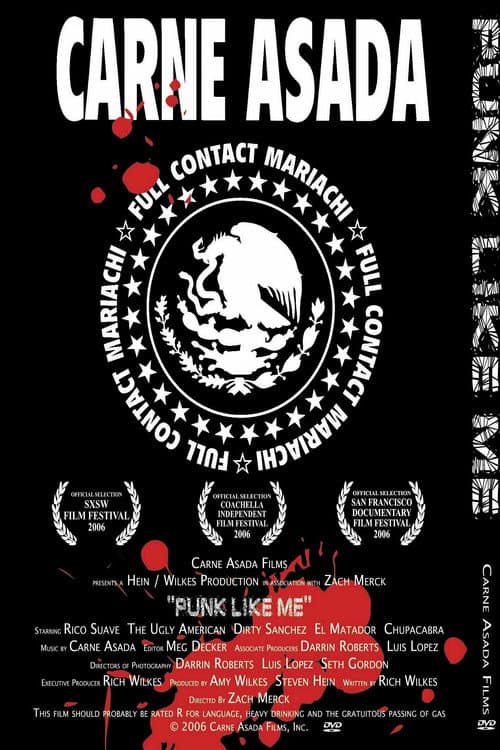 Poster for Punk Like Me