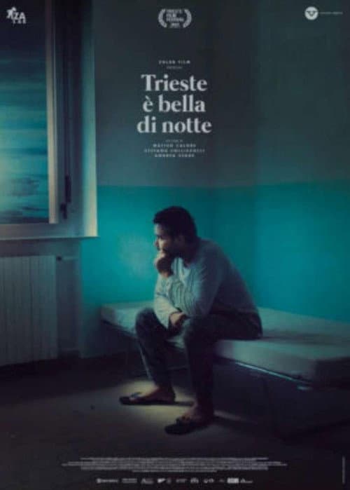 Poster for Trieste Shines at Night