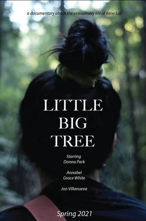 Poster for Little Big Tree