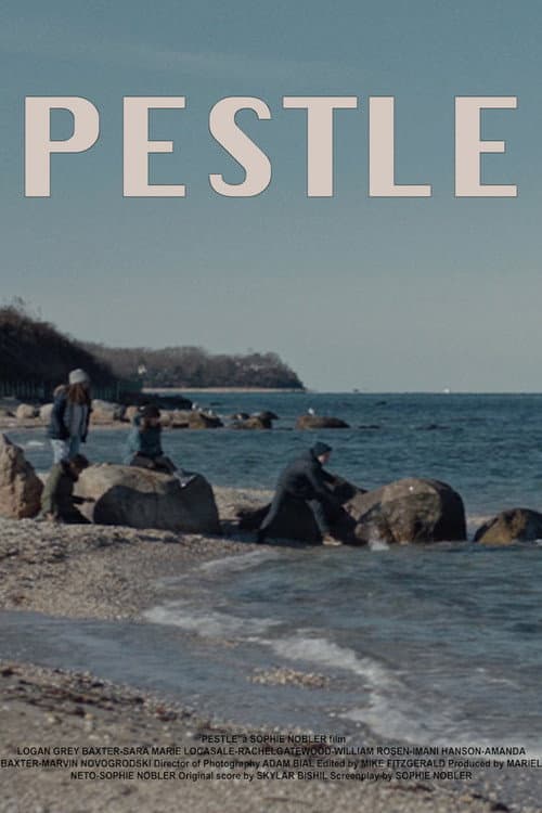 Poster for Pestle