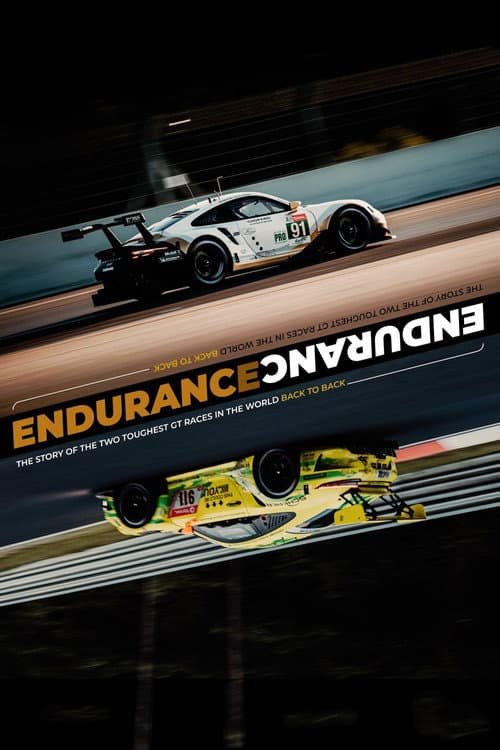 Poster for ENDURANCE