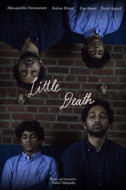 Poster for Little Death
