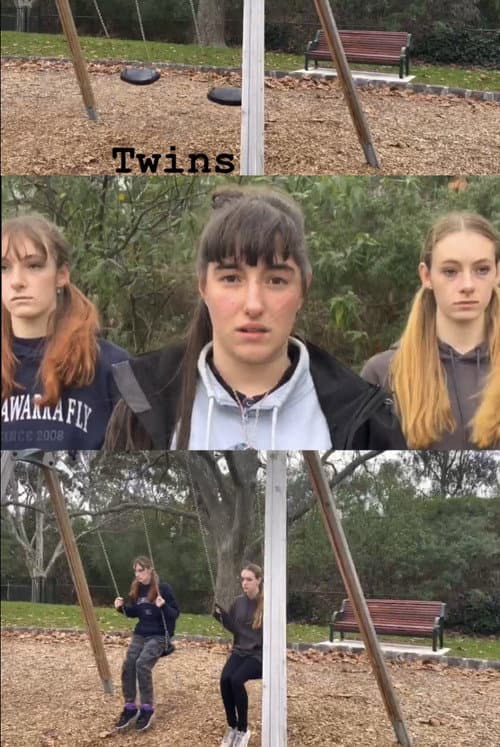 Poster for Twins