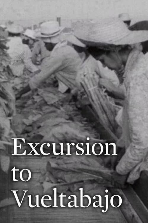 Poster for Excursion to Vueltabajo