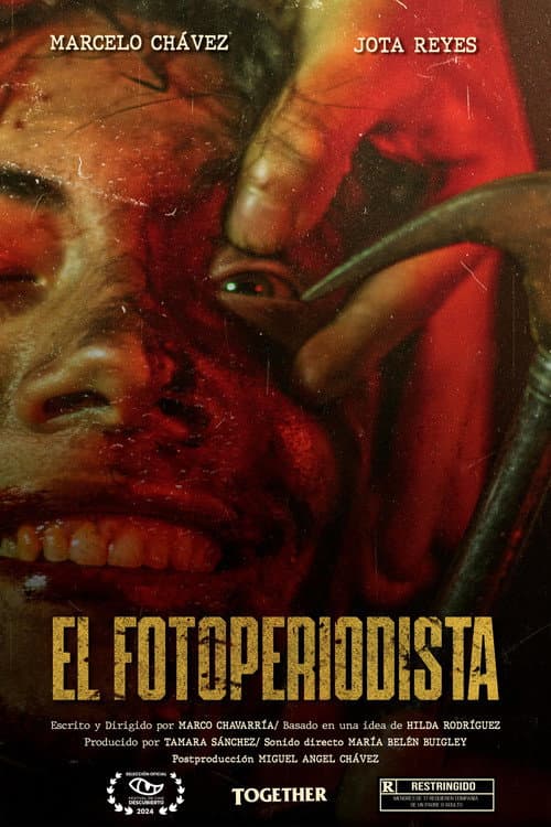 Poster for The photojournalist