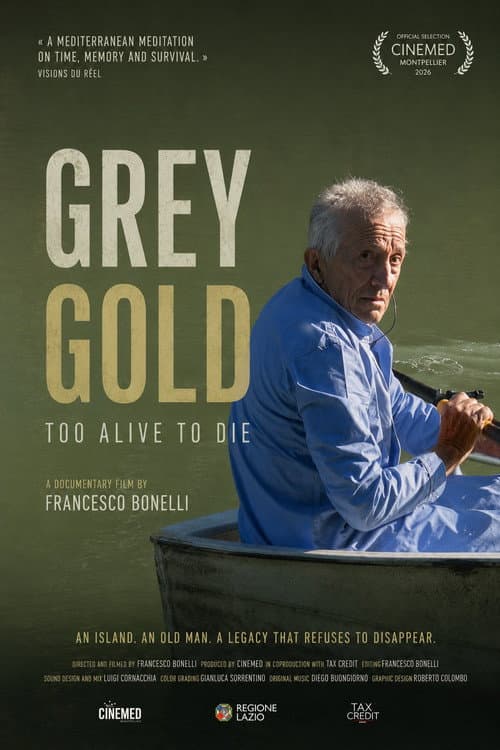 Poster for Oro grigio - Troppo vivi per morire