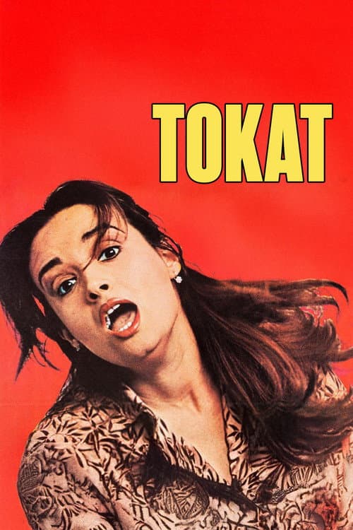 Poster for Tokat