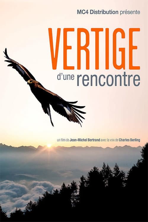 Poster for Vertige d'une rencontre