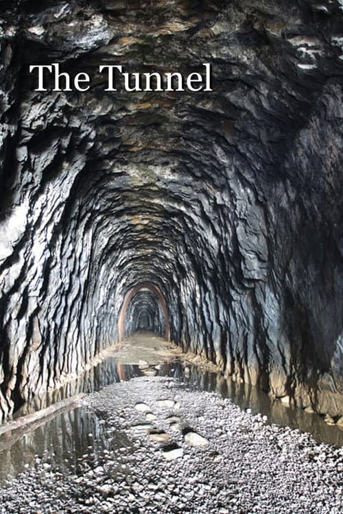 Постер до фільму «The Tunnel»