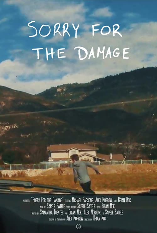 Poster for Sorry For the Damage