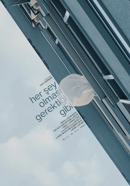 Poster for Her Şey Olması Gerektiği Gibi