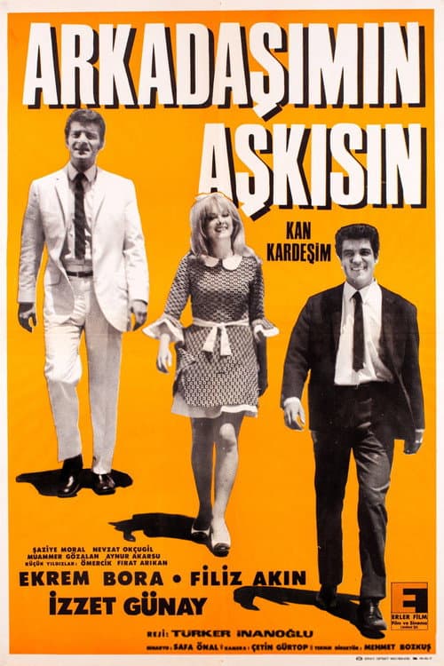 Poster for Arkadaşımın Aşkısın