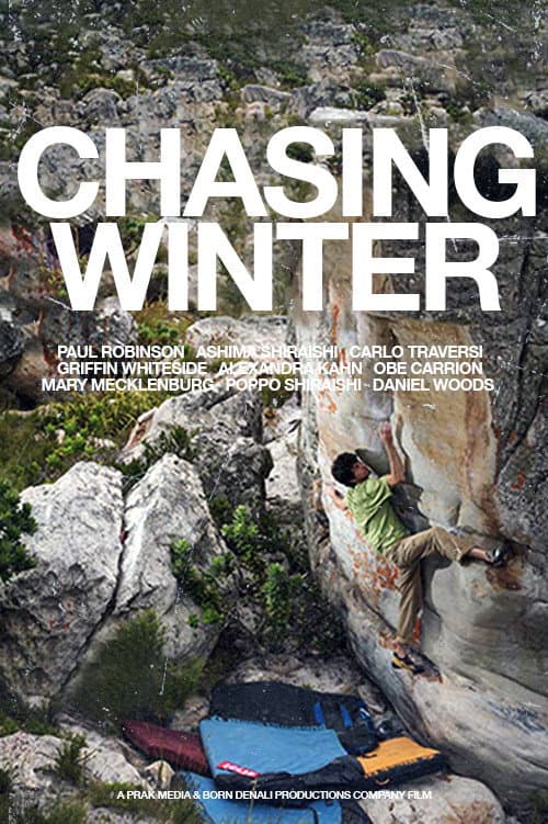 Poster for Chasing Winter