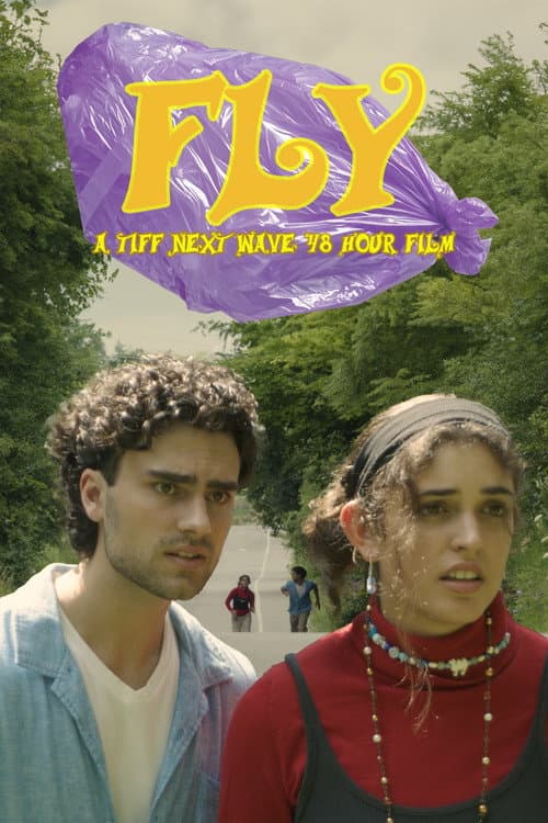 Poster for Fly