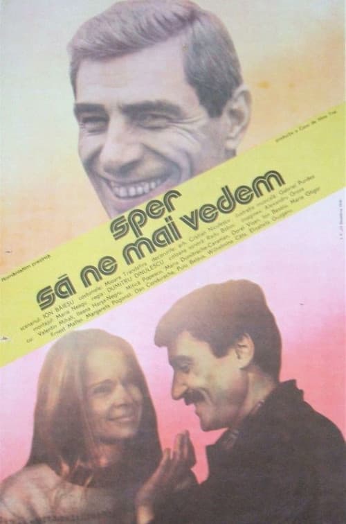 Poster for I Hope to See You Again