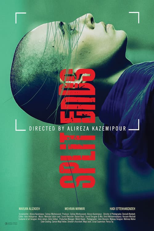 Poster for Split Ends
