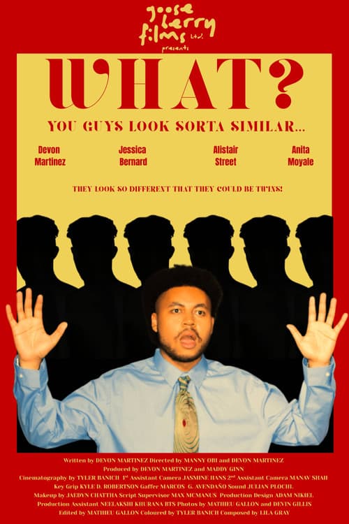Poster for What? You Guys Look Sorta Similar…