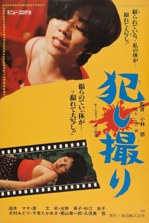 Poster for Filming a Crime