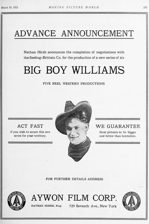 Poster for The Avenger