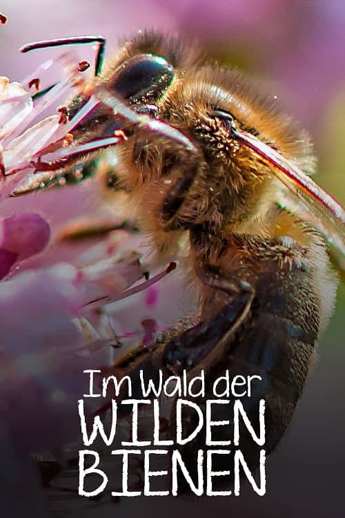 Poster for Im Wald der wilden Bienen